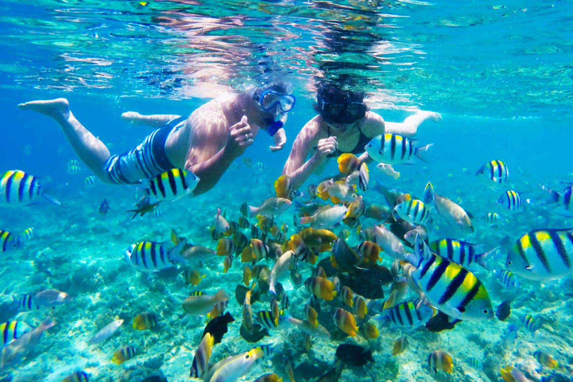 Fish Garden